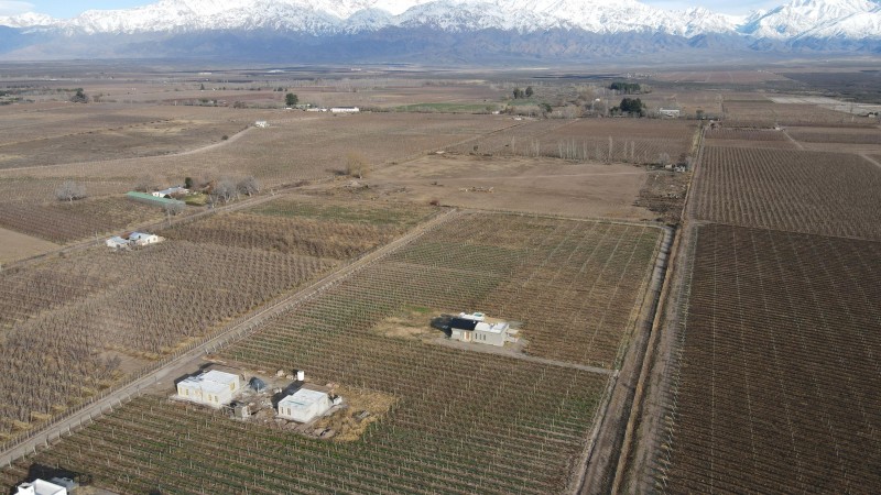 Interés inversor en Valle de Uco